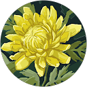Zonoxen profile picture